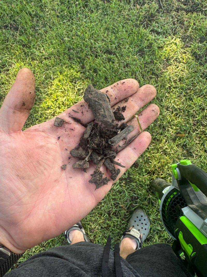 Work Soil Down Between The Grass Blades