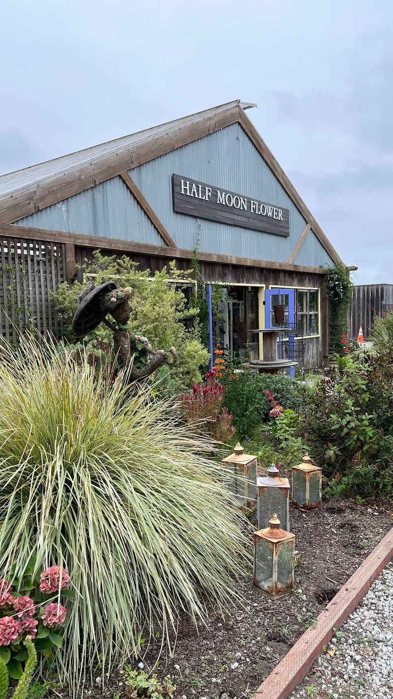 Yerba Buena Nursery - Half Moon Bay