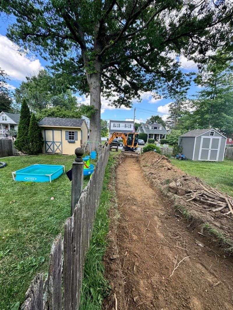 Your Neighbor Can Usually Cut Roots On Their Side Your Neighbor Can Usually Cut Roots On Their Side