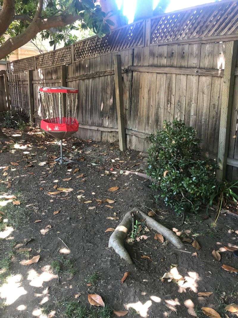 Your Neighbor May Be Allowed To Cut Roots On Their Side