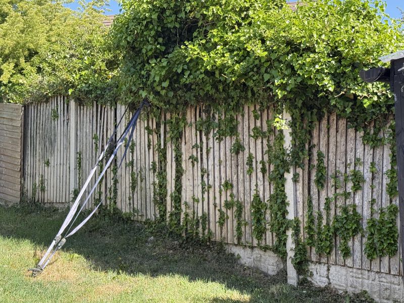 Your Side Of The Fence Does Not Mean You Own The Ivy Your Side Of The Fence Does Not Mean You Own The Ivy