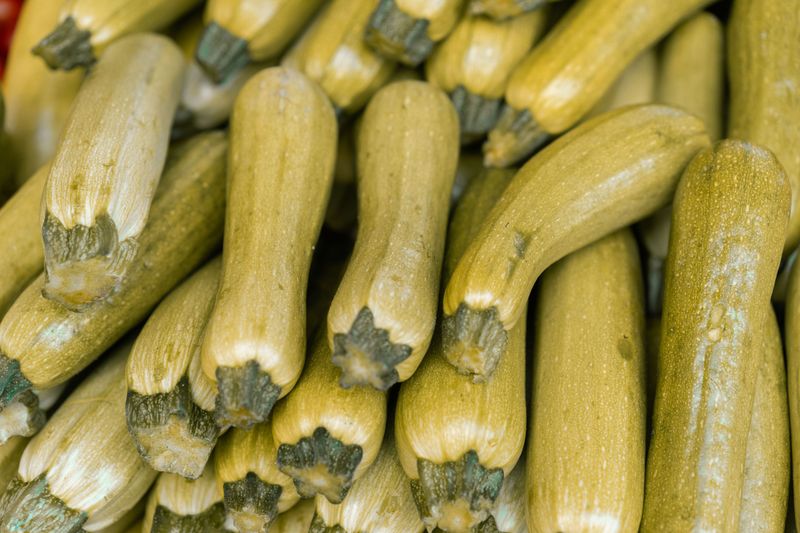 Zucchini