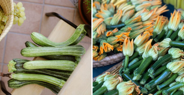 This Playful Garden Holiday Has Gardeners Sneaking Zucchini Onto Porches All Over Alabama