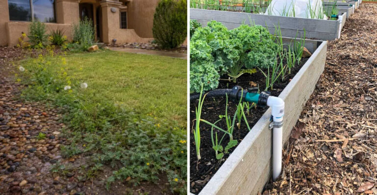 What This Week’s Thunderstorms Really Mean For Georgia’s Drought-Stressed Gardens