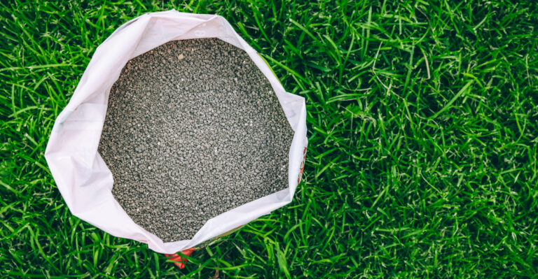 The Wisconsin Lawn Job That Works Better Now Than In Spring
