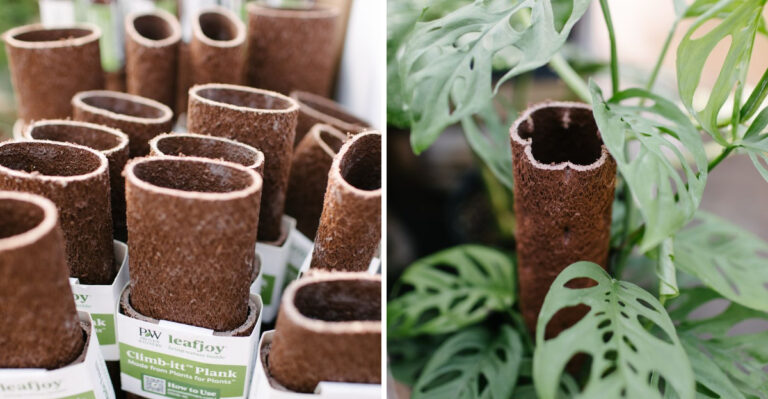 This Sustainable Houseplant Gear Has Connecticut Shoppers Buying Potato-Skin Climbing Poles