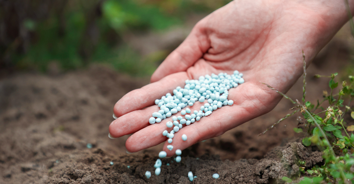 fertilizing plants (featured image)