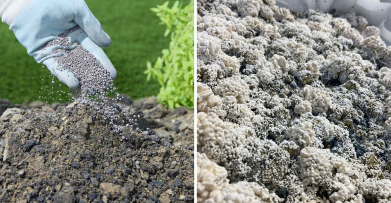 Massachusetts Gardeners Use This Simple Trick To Protect Clay Soil From Heavy Rain