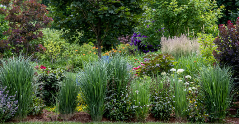 grass border
