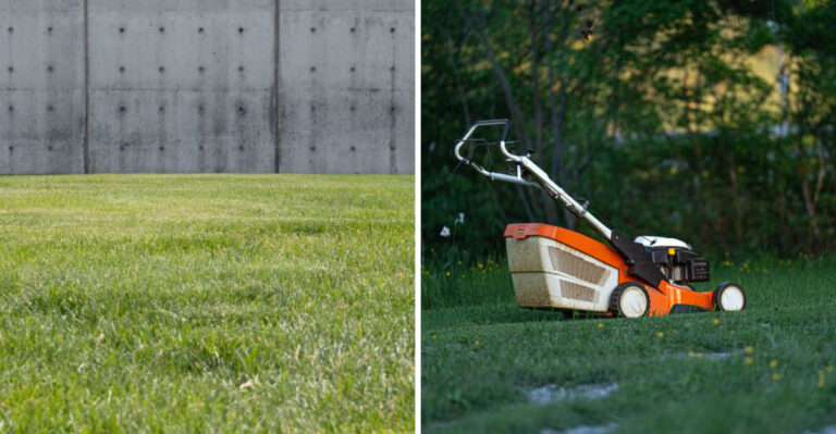 The Mowing Mistake That’s Thinning Lawns Before Autumn