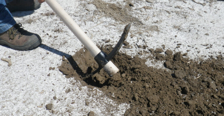 Why Arizona Soil Turns Salty In August And How To Flush It Out