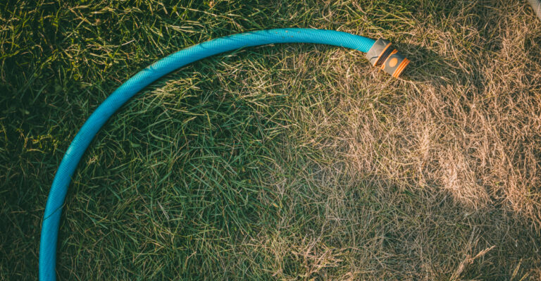 Can Your California Neighbor Force You To Replace Your Lawn?