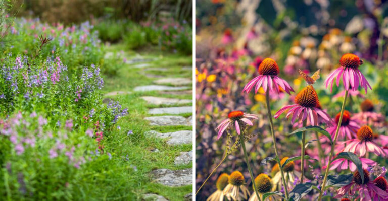 Alabama Yards Are At The Forefront Of 2026’s Biggest Gardening Trend
