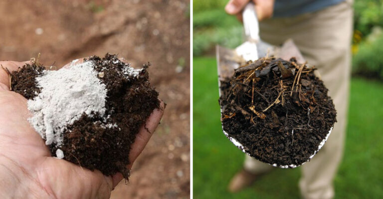 The Soil Trick Maryland Gardeners Use Before Heavy Rain
