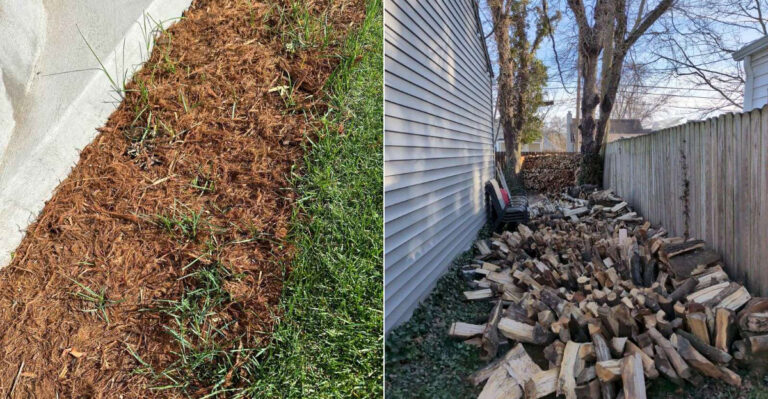 Oregon Yard Changes That Make Tick Habitat Less Inviting Before Fall