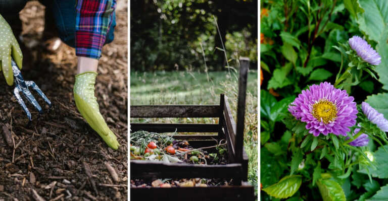 8 Minnesota Gardening Tips To Close Out The Summer Season