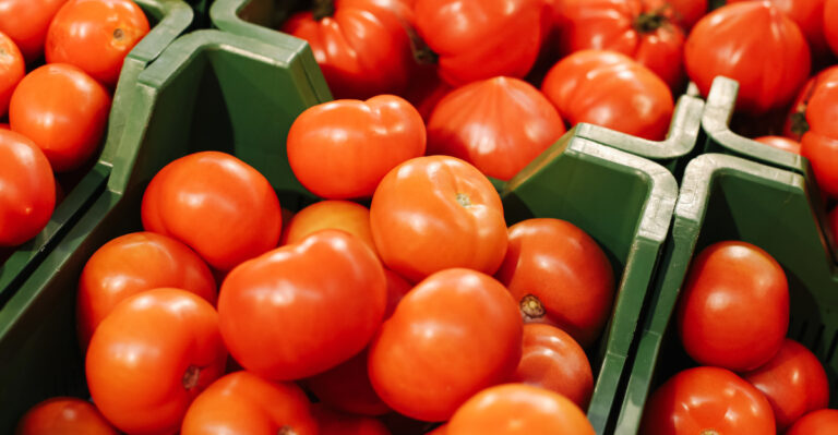 Keep Your Indiana Tomatoes Producing Through September With These August Tasks