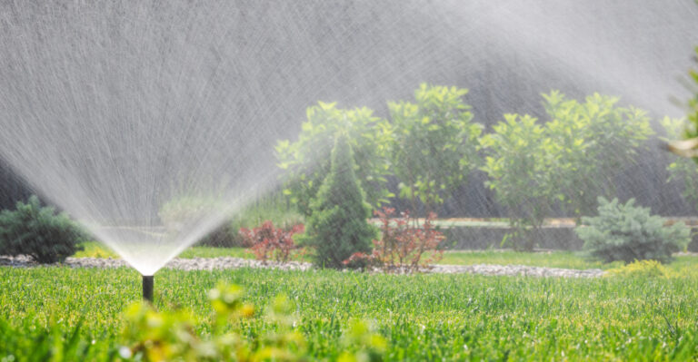 The September Watering Change Oregon Gardeners Make Too Late