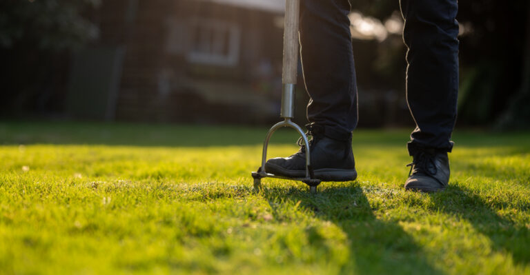 The Delaware Lawn Job Homeowners Postpone Until The Window Closes