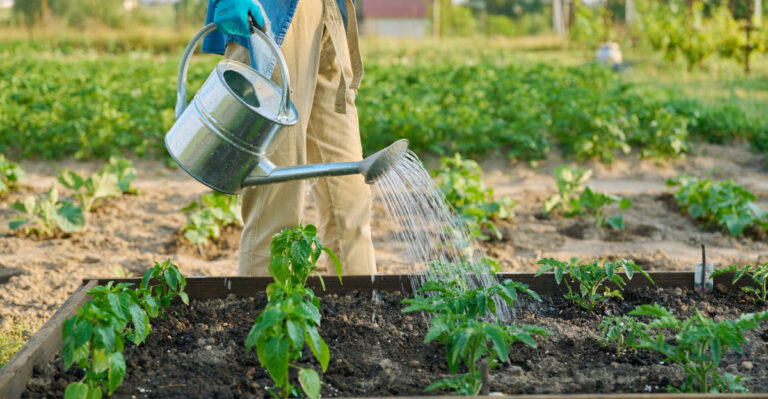 The New Jersey Gardening Mistake That’s Worse Than A Heat Wave