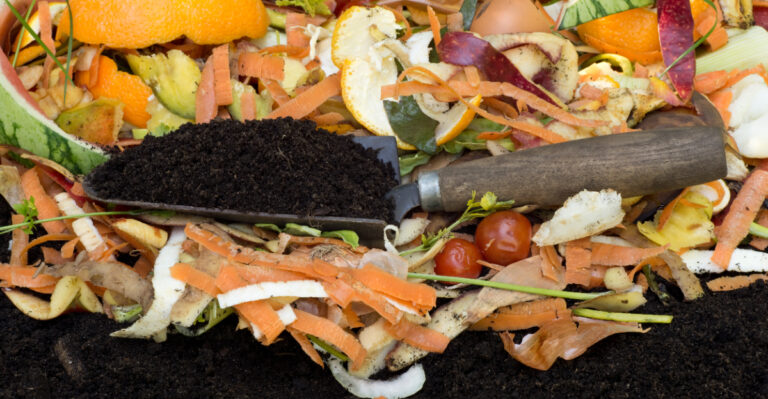 The Time-Tested Composting Method Alabama’s Amish Growers Have Perfected Over Generations