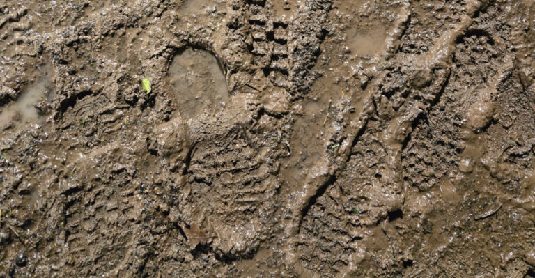 Why You Should Avoid Walking On Bare Kentucky Soil After Heavy Thunderstorms