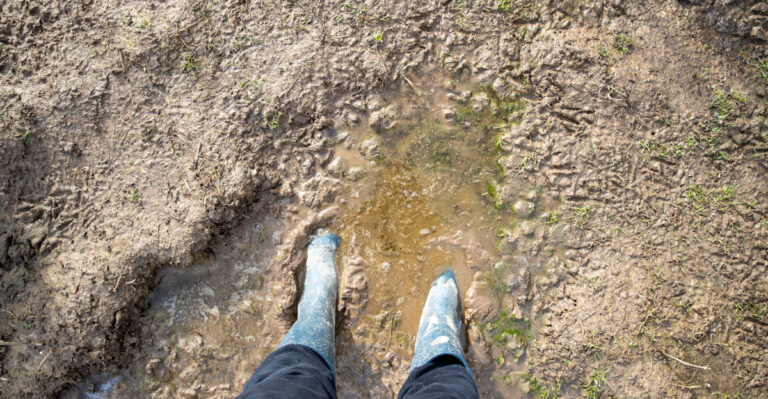 Never Step Into Your Virginia Garden Beds Right After This Kind Of Rain