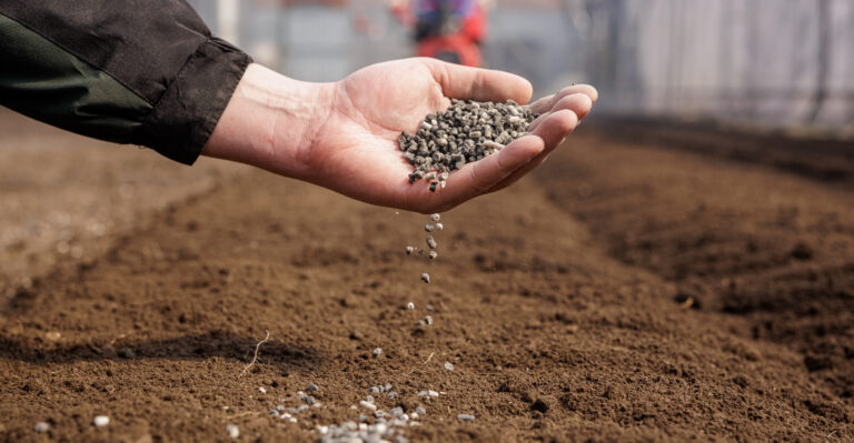 The Late-Summer Soil Feeding Michigan Gardeners Swear By For Fall Harvests