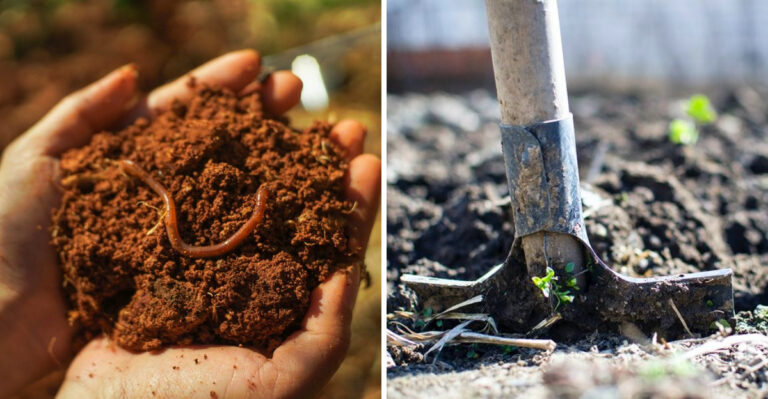 What Pennsylvania Gardeners Should Know About Jumping Worms Before They Find Them In Their Soil