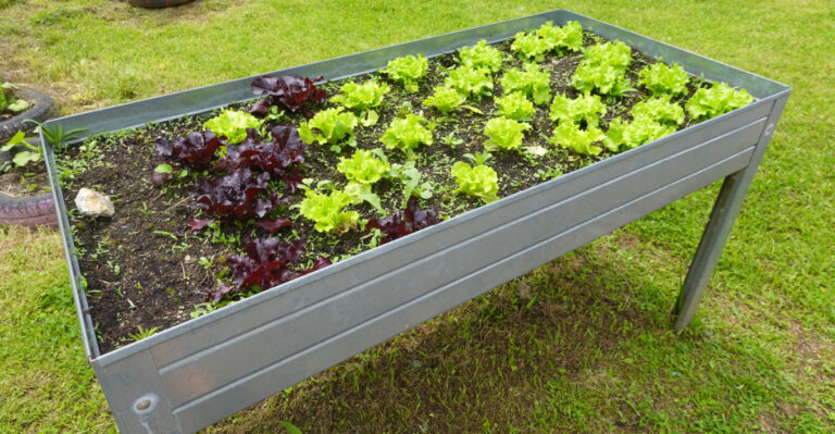 The Raised Bed Material Montana Gardeners Prefer Over Wood Or Concrete
