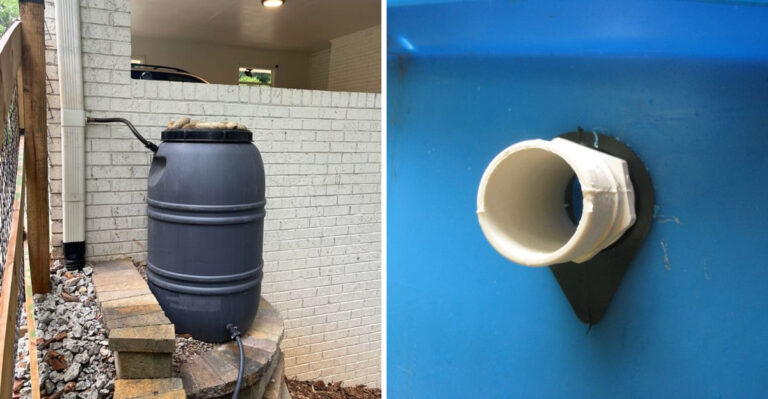 The One Thing North Carolina Gardeners Should Check On Rain Barrels Before The Next August Storm