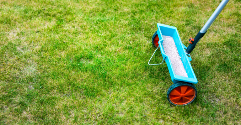 lawn fertilization