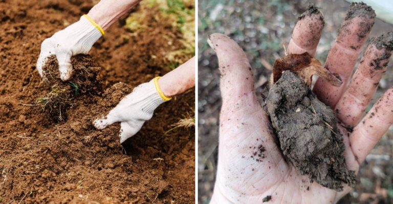 Why Pennsylvania Gardeners Are Staying Out Of Their Garden Beds After Heavy Rains