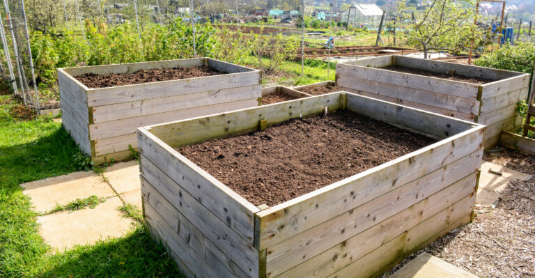 How To Prepare Your Arizona Raised Beds For Fall Without Using Chemical Fertilizers