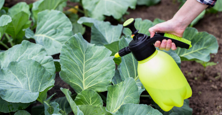 8 Reasons This Simple Vinegar Trick Is Popular Among Virginia Homeowners