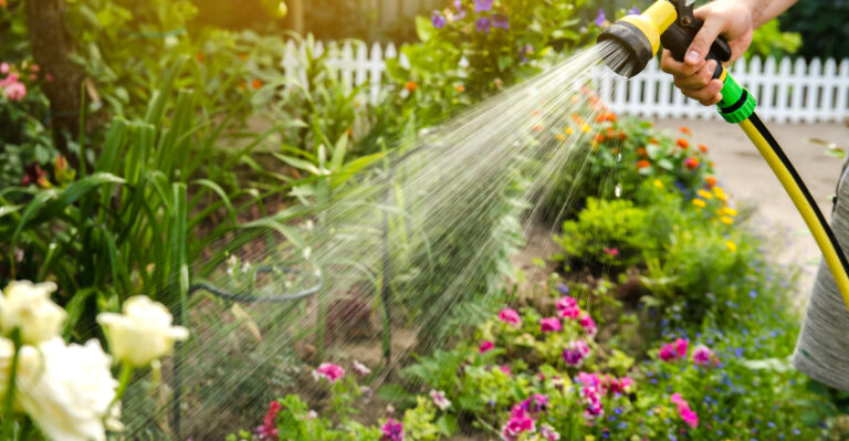 100 Degree Days Mean Missouri Gardeners Should Skip This Chore