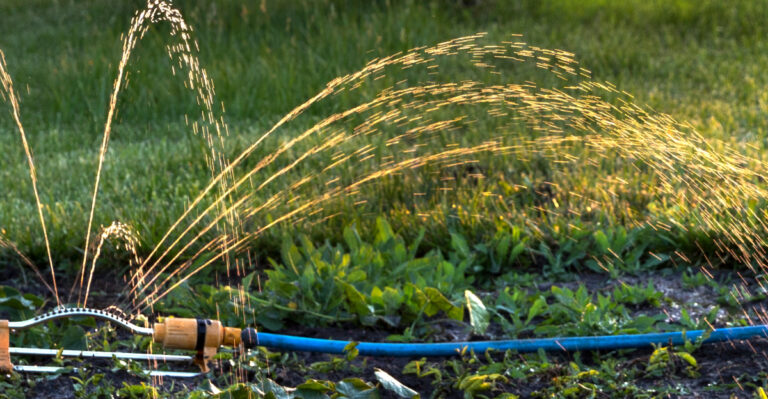 The August Watering Schedule Oregon Clay Soil Needs That Is Different From Every Other Month