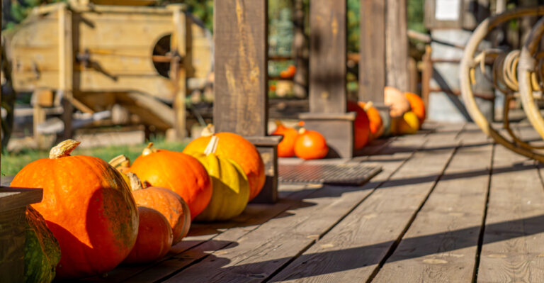This 2026 Pumpkin Trend Is Changing How Illinois Decorates Its Porches