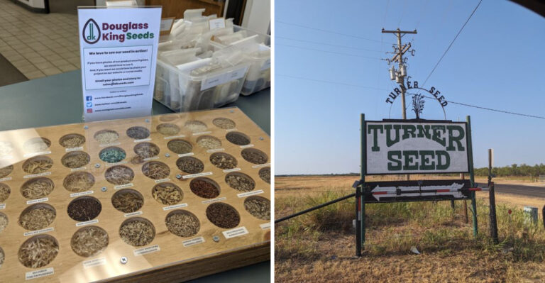 Where Texas Gardeners Find Rare Native Seeds Big Stores Rarely Carry