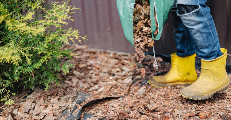The Mulch Mistake Making Rainy Season Flooding Worse In Texas Yards