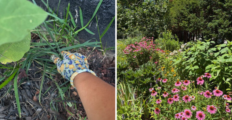 9 Gardening Tricks That Help Your Plants Grow Faster And Fuller In Michigan