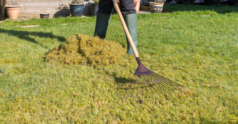 The August Lawn Care Moves Most Indiana Homeowners Miss Every Year