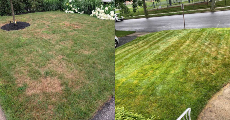 The Late-Summer Mowing Mistake That Makes Oregon Lawns Harder To Revive In Fall