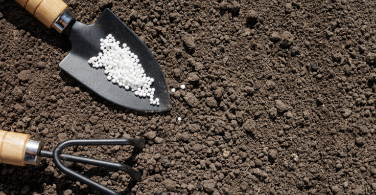 Never Apply This Fertilizer To Michigan Soil Right Before Heavy Rain