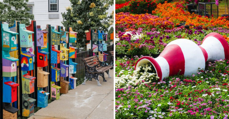 What Can Connecticut’s Fairs Teach Us About Local Gardening Culture