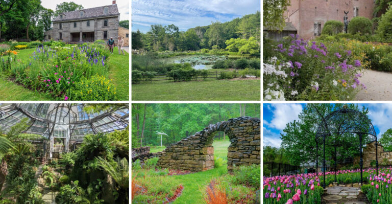 The Pennsylvania Native Plant Gardens Worth Visiting Before The End Of Summer