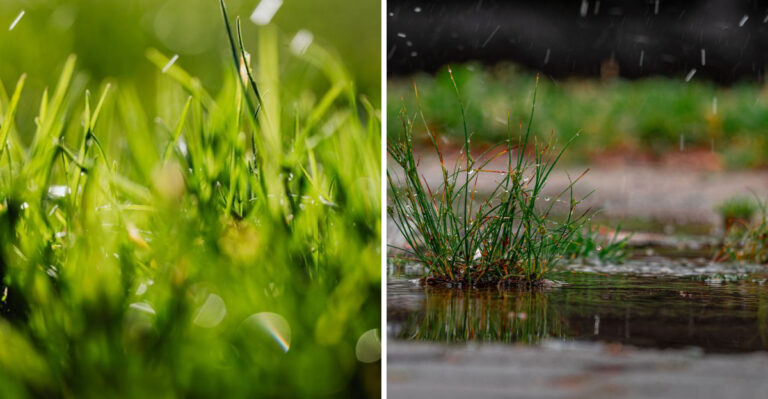 Why Late-August Aeration Sets Up Connecticut’s September Seeding Window