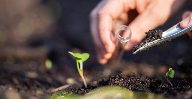 soil testing