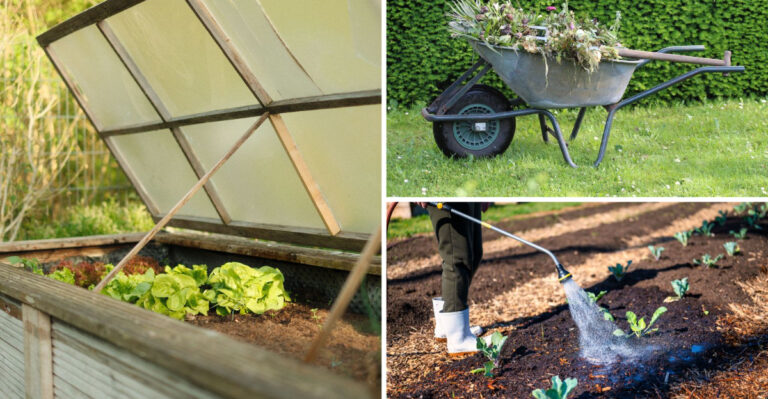 An Illinois Fall Garden Plan Worth Finalizing By Early August