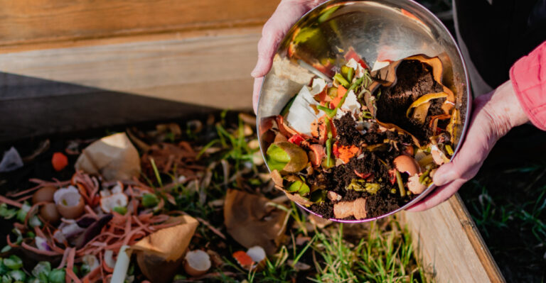 Why Virginia Compost Piles Decompose Fastest In Early August, And What To Feed Them